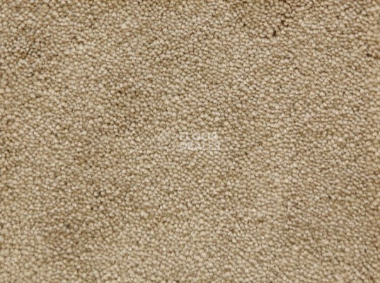Ковролин Radici Lord Beige 126A фото 1 | FLOORDEALER